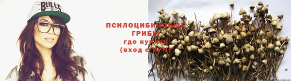 молекула духа Инта