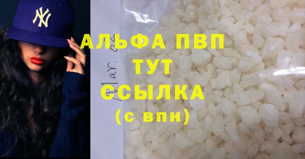 мяу мяу мука Иннополис