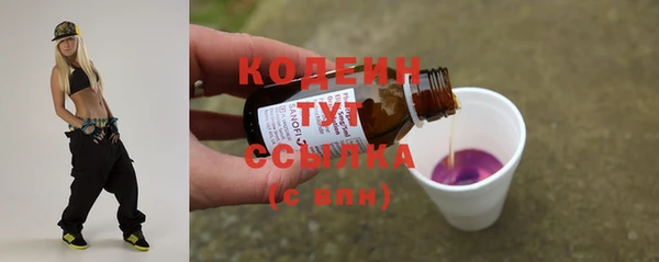 мяу мяу мука Иннополис