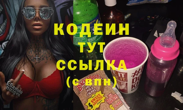 мяу мяу мука Иннополис