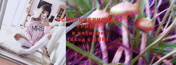 молекула духа Инта