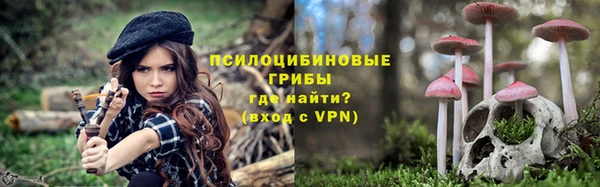 молекула духа Инта