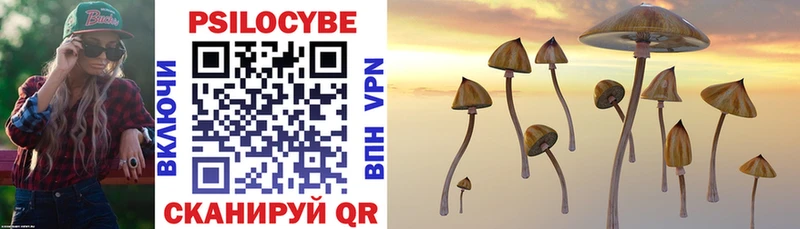 Галлюциногенные грибы Magic Shrooms  Купить  Сухиничи 